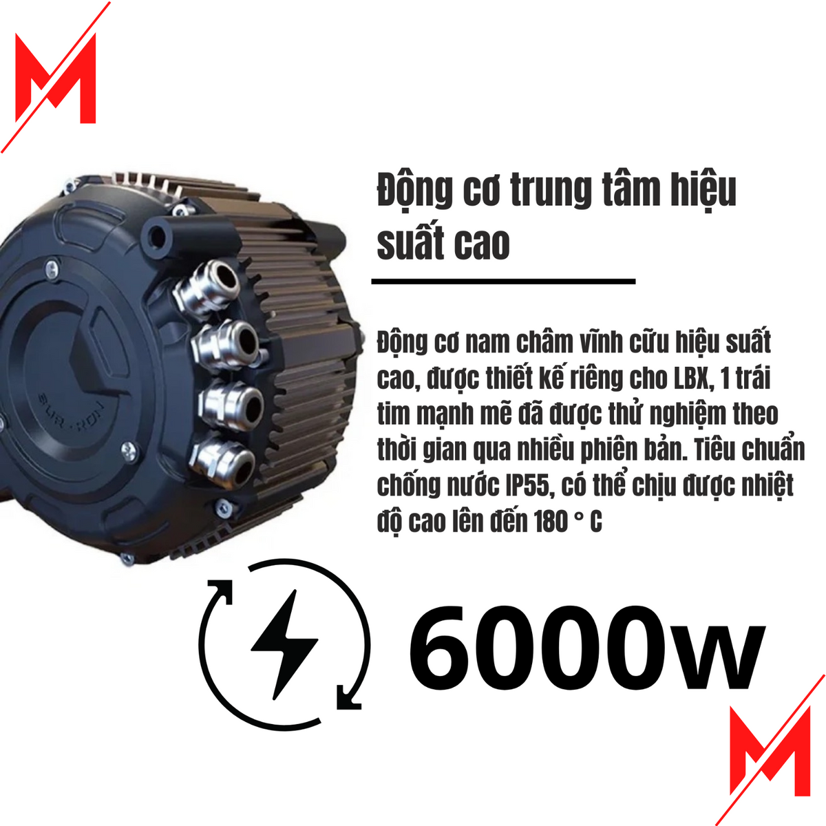 Khám Phá Sức Hút Của Sur-Ron Light Bee X 2024: Điện Năng Tối Ưu Cho Địa Hình - MÔTÔ ĐỊA HÌNH